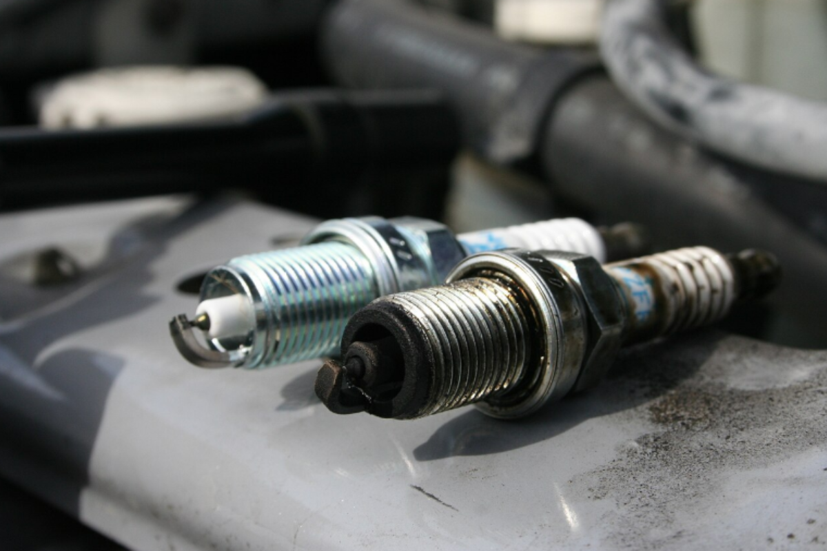 busi motor